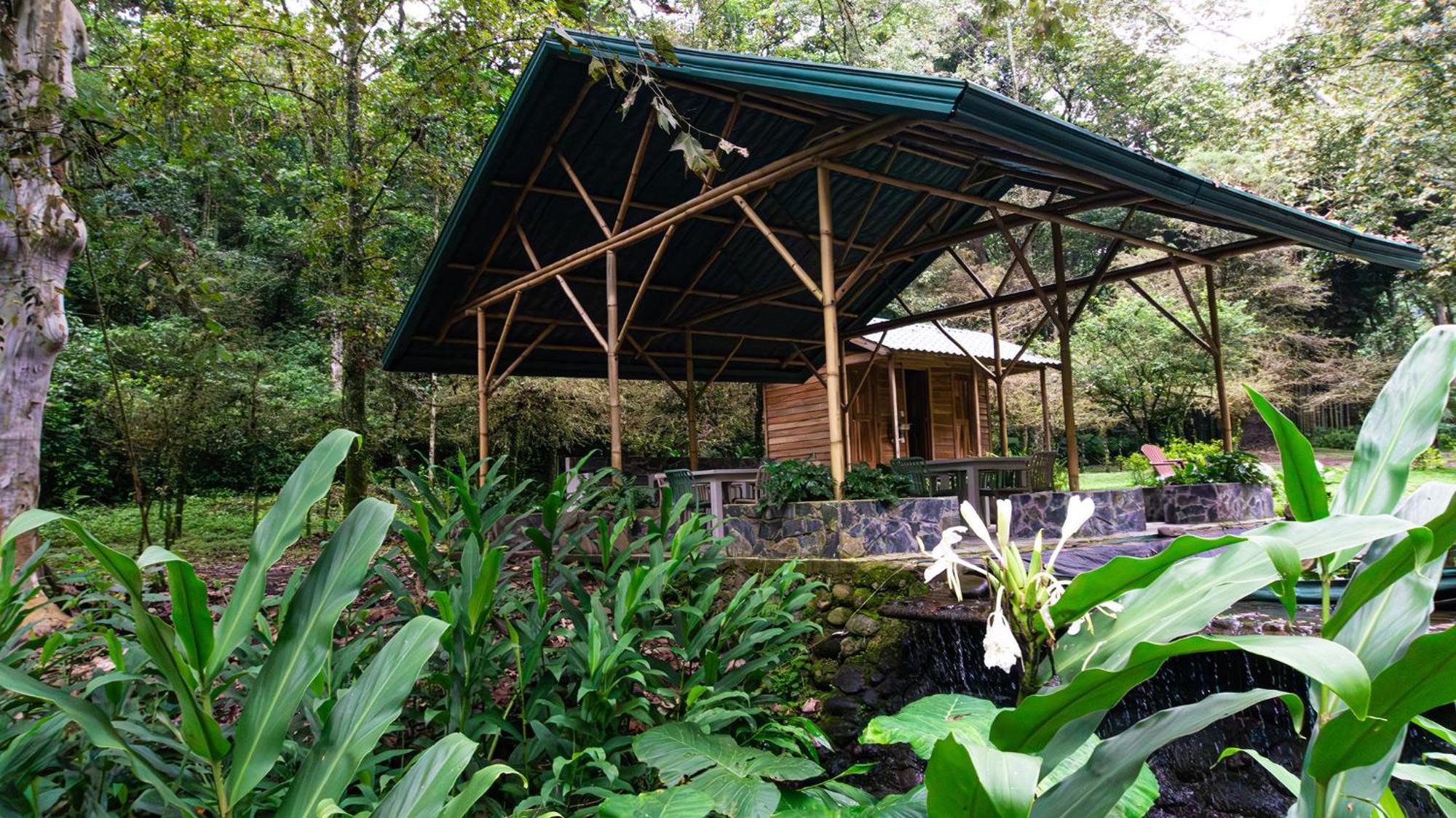 Boscana Forest Resort & Residence Coscomatepec de Bravo Exterior foto
